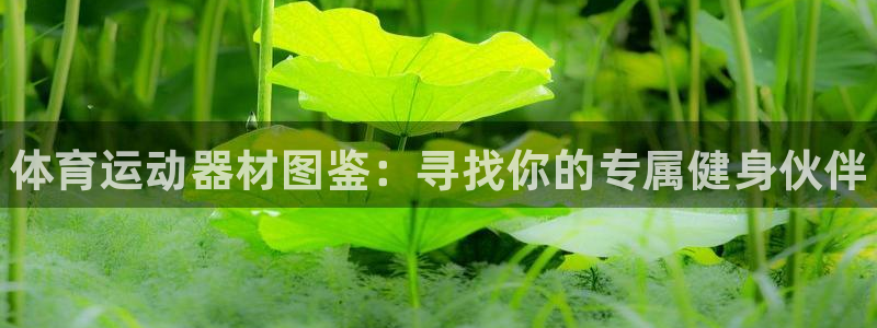尊龙官方正版app五金厂：体育运动器材图鉴：寻找你的