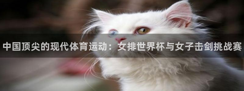 尊龙官网下载平台：中国顶尖的现代体育运动：女排世界杯