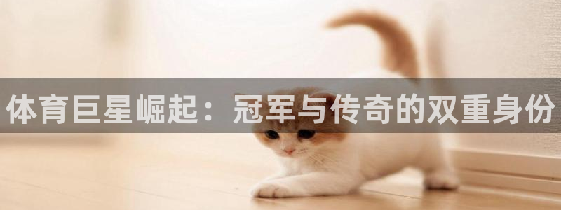尊龙官方正版app娱乐代理怎么样：体育巨星崛起：冠军