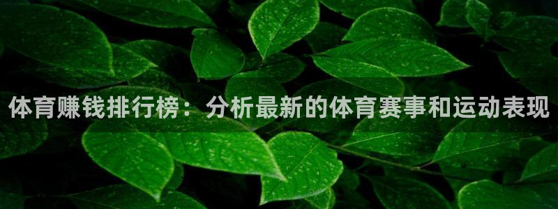 尊龙官网下载招商电话地址：体育赚钱排行榜：分析最新的