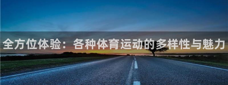 尊龙官网下载招商电话：全方位体验：各种体育运动的多样