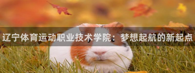 尊龙官网下载平台是正规平台吗安全吗：辽宁体育运动职业