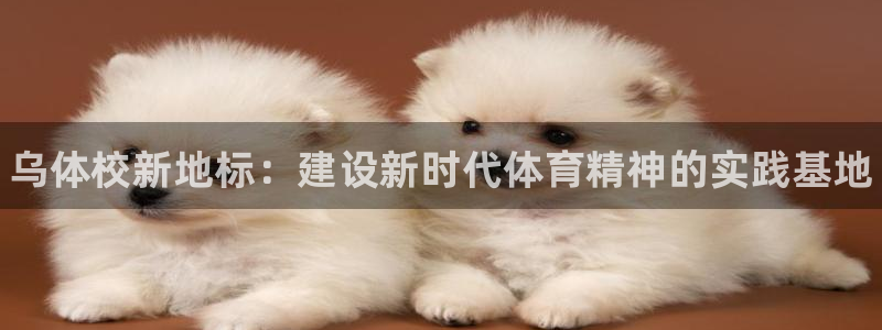 尊龙官网下载平台注册流程视频：乌体校新地标：建设新时代体育精