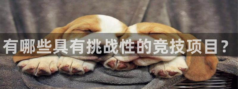 尊龙官网下载软件：有哪些具有挑战性的竞技项目？