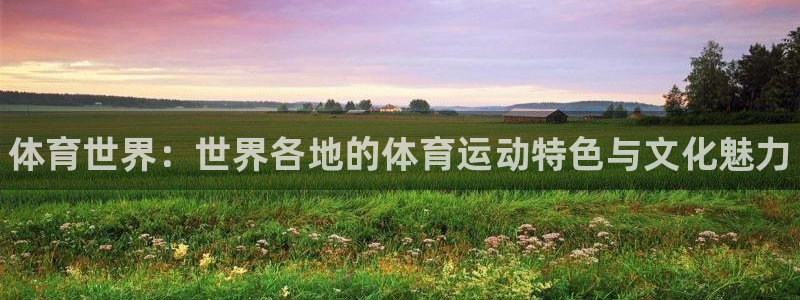 尊龙官方正版app代理：体育世界：世界各地的体育运动