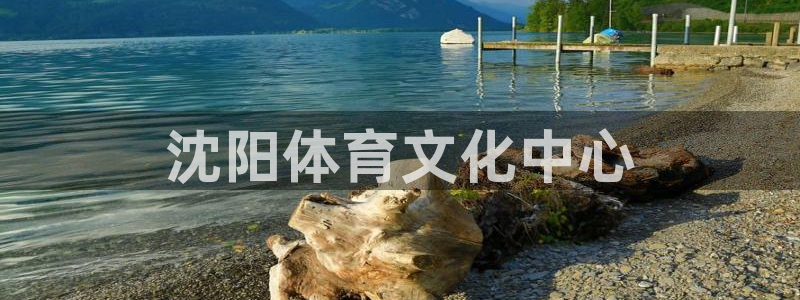 尊龙官网下载招商电话号码是多少号：沈阳体育文化中心