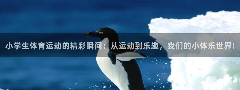 尊龙官方正版app官方