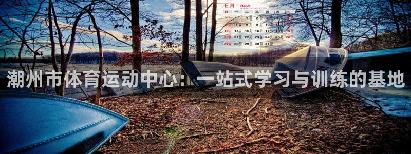 尊龙官网下载平台注册流程图：潮州市体育运动中心：一站式学习与