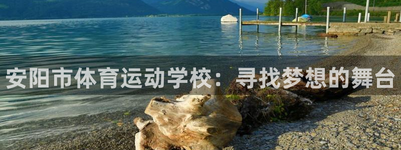 尊龙官网下载平台注册要钱吗安全吗：安阳市体育运动学校：寻找梦