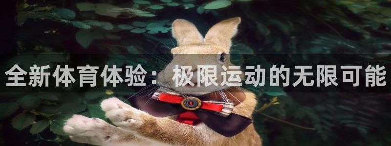 德国尊龙官方正版app集团