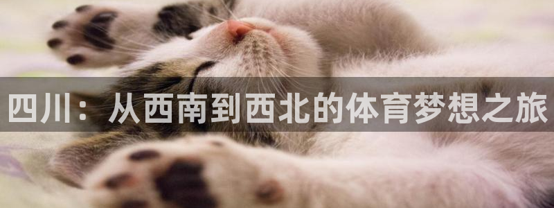 尊龙官方正版app娱乐平台：四川：从西南到西北的体育梦想之旅
