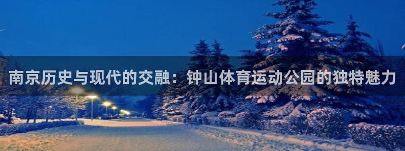 尊龙官网下载开户：南京历史与现代的交融：钟山体育运动公园的独