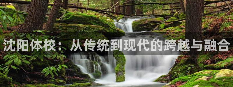 尊龙官方正版app五金厂：沈阳体校：从传统到现代的跨