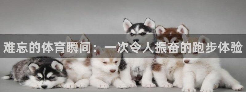 尊龙官方正版app集团简介：难忘的体育瞬间：一次令人振奋的跑