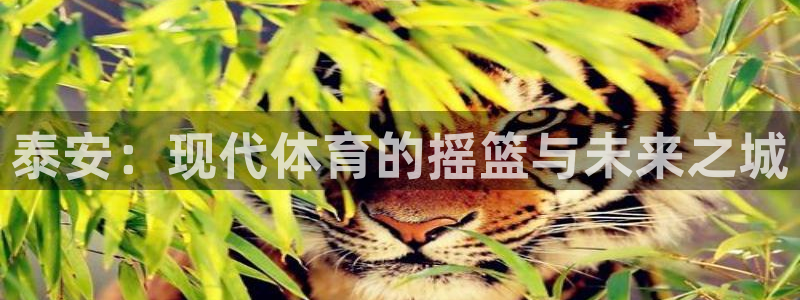 尊龙官网下载开户