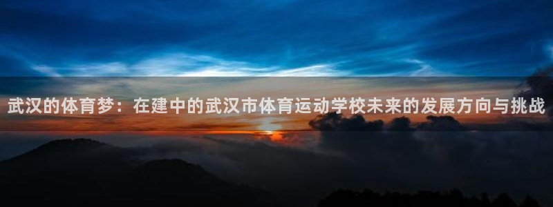 尊龙官方正版app官网：武汉的体育梦：在建中的武汉市体育运动