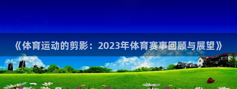 尊龙官方正版app娱乐首页网站大全：《体育运动的剪影：202
