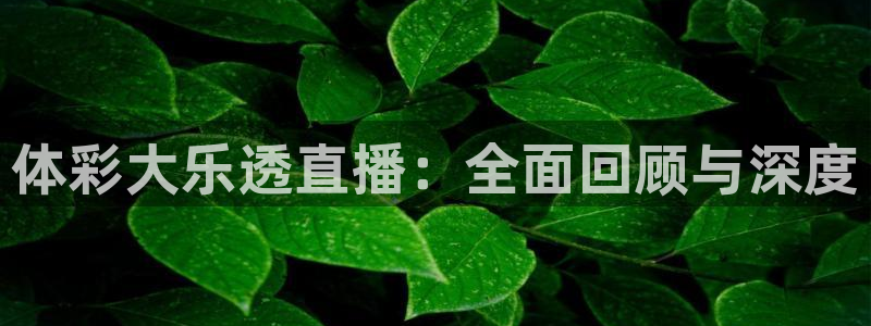 新闻图片