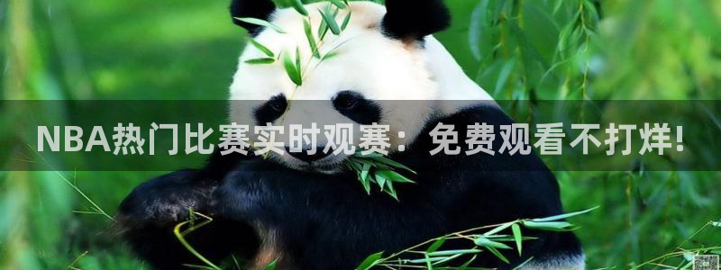 松鼠体育：NBA热门比赛实时观赛：免费观看不打烊!