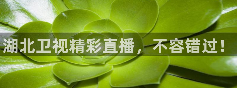 下载松鼠电视直播：湖北卫视精彩直播，不容错过！