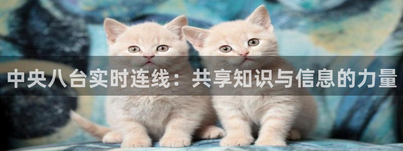 松鼠直播：中央八台实时连线：共享知识与信息的力量