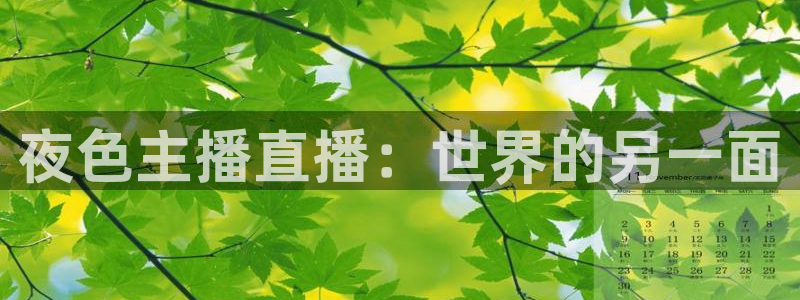 松鼠体育在线直播视频：夜色主播直播：世界的另一面